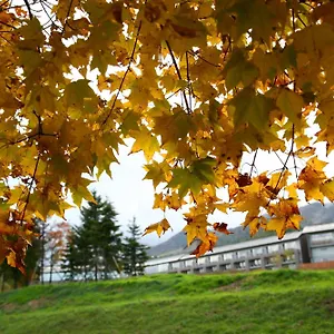 富良野酒店 4* 中富良野町